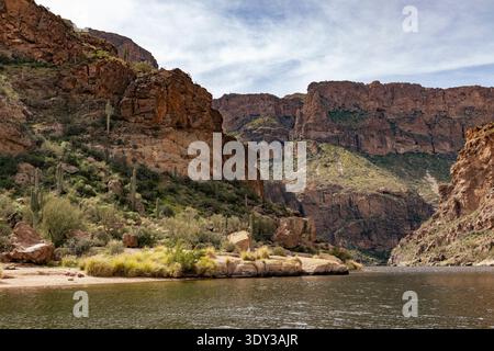Arizona, USA: Saguaro-Kakteen, andere Vegetation und zerklüftetes Gelände entlang des Salt River in der Nähe von Tortilla Flat Stockfoto