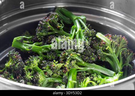 Violetter, sprießender Brokkoli, gedämpft in einem Hintergrund aus Edelstahl-Dampfgarer. Konzept für gesunde Ernährung. Stockfoto