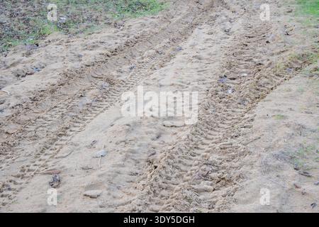 Reifenspuren auf sandigem Weg in natürlicher Umgebung. Der Boden ist uneben und um die Ketten herum sind Gras- und Schmutzflecken sichtbar. Stockfoto