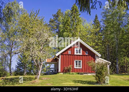 Charmantes rotes Holzhaus umgeben von lebhaftem Frühlingsgrün, blühenden Bäumen unter einem klaren blauen Himmel. Weiß getrimmte Fenster und eine kleine Veranda, cre Stockfoto