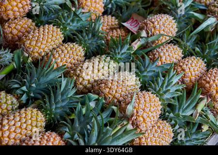 Frische tropische Ananas zum Verkauf auf einem Markt Stockfoto