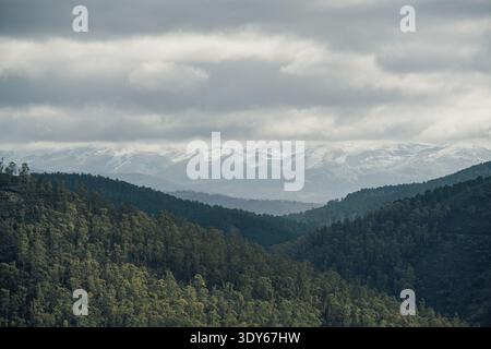 Berglandschaft mit Waldhügeln und schneebedeckten Bergen Stockfoto