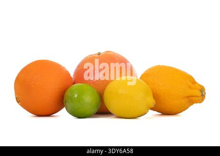 Helle Zitrusfrüchte ordentlich auf weißem Hintergrund angeordnet. Orange, Grapefruit, Limette, Zitrone und Mandarine sichtbar. Frisches, lebendiges und ansprechendes Obst Stockfoto
