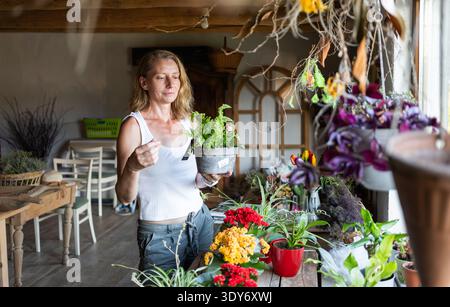 Frau arbeitet in einem Blumenladen und arrangiert tagsüber Pflanzen und Töpfe für Kunden in einem hellen Raum in Rumänien Stockfoto