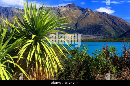 Lake Wakatipu zeigt herbstliche Farben mit hellem Laub in der Nähe hoher Berge auf Neuseelands Südinsel Stockfoto