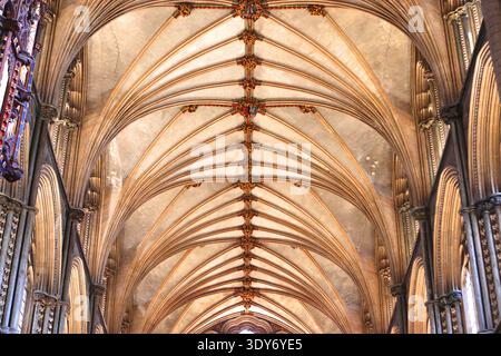 Erkunden Sie die detaillierte Deckenstruktur der Ely Cathedral in England Stockfoto