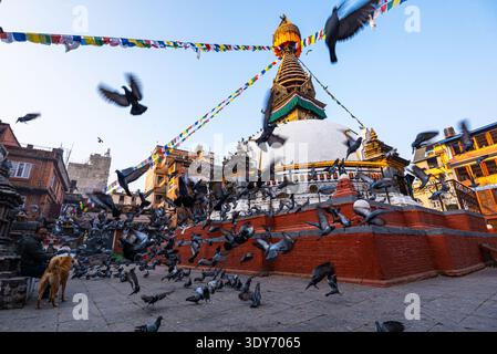 Tauben fliegen um Kathi Swoyambhu Shree GHA Stupa mit Gebetsfahnen im frühen Morgenlicht in Kathmandu Stockfoto