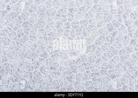 Die gerissene Salzoberfläche in Salinas Grandes in der argentinischen Provinz Jujuy zeigt einzigartige Muster und Texturen, die in dieser natürlichen Landschaft zu finden sind Stockfoto
