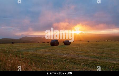 Blick bei Sonnenuntergang auf Heuballen auf einem Feld im South Downs National Park in der Nähe von Beachy Head, Eastbourne, East Sussex Stockfoto