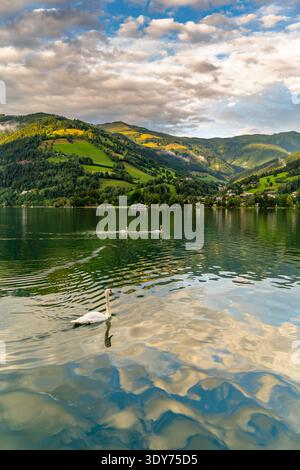 Berge umgeben den Zeller See in goldener Stunde mit Schwänen, die auf ruhigem Wasser in Salzburg, Österreich, gleiten Stockfoto