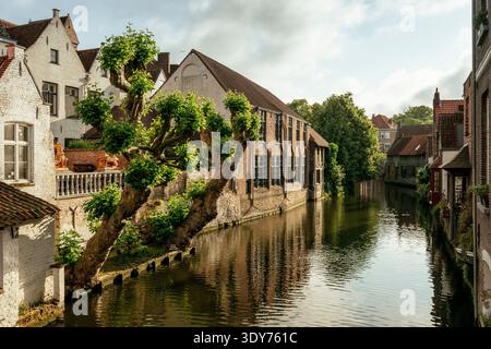 Das Morgenlicht reflektiert den Kanal in der Altstadt von Brügge und zeigt die Gebäude neben der Wasserstraße in Flandern, Belgien Stockfoto