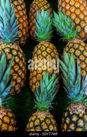 Frische Ananas, die tagsüber in Frankreich auf einer Oberfläche angeordnet sind, mit grünen Spitzen und gelben Häuten, die Sonnenlicht fangen Stockfoto