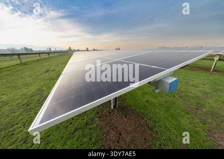 Nahaufnahme von Photovoltaik-Solarpaneelen, die in einem grasbewachsenen Feld während des frühen Morgenlichts installiert sind und nachhaltige Energietechnologie zeigen. Stockfoto