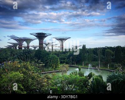 Supertree Grove über dem Dragonfly Lake in Singapur, Februar 2019 Stockfoto