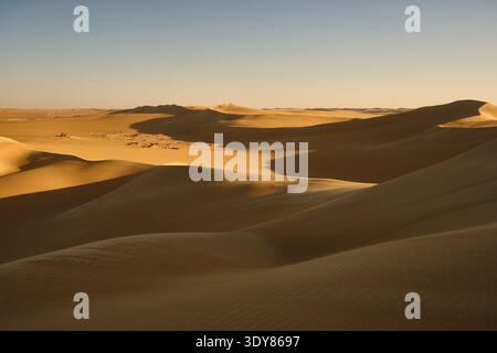 Goldene Sanddünen in Wüstenlandschaft bei Sonnenuntergang Stockfoto