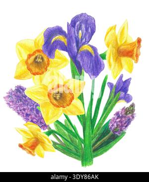 Handgezeichnete Illustration mit einem Blumenstrauß mit gelben Narzissen, violetten Iris und violetten Hyazinthen. Gelber und violetter Blumenstrauß mit Grün Stockfoto