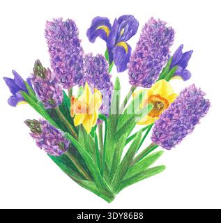 Handgezeichnete Illustration mit einem Blumenstrauß mit gelben Narzissen, violetten Iris und violetten Hyazinthen. Gelber und violetter Blumenstrauß mit Grün Stockfoto