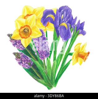 Handgezeichnete Illustration mit einem Blumenstrauß mit gelben Narzissen, violetten Iris und violetten Hyazinthen. Gelber und violetter Blumenstrauß mit Grün Stockfoto