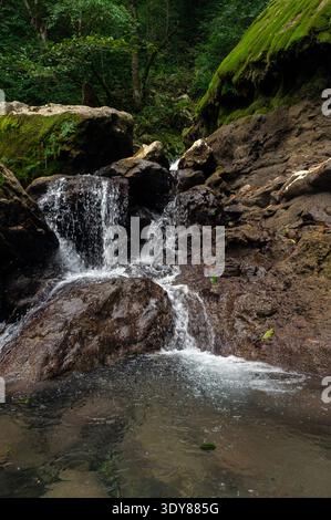Kleiner Waldwasserfall, der über moosige Felsen in üppigen Bergen fließt Stockfoto