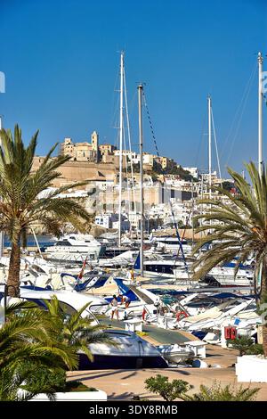 Mediterraner Yachthafen mit Luxusyachten und Palmen unter der historischen Altstadt von Ibiza Stockfoto
