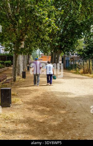 Ein älteres Paar, das bei Tageslicht Hand in Hand auf einem von Bäumen gesäumten Feldweg in einem Park spaziert Stockfoto