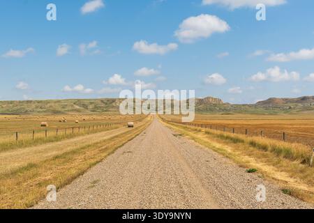 Eine unbefestigte Straße durchquert das Saskatchewan Grasland und führt zu weit entfernten Badlands am Horizont. Stockfoto