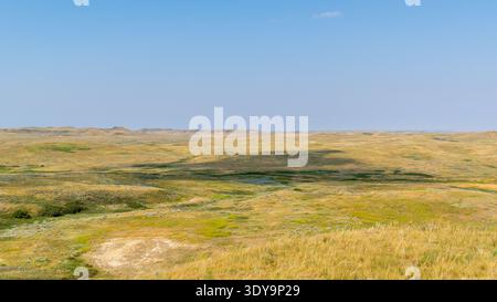 Im Grasslands-Nationalpark erheben sich mehrschichtige Badlands aus der offenen Prärie, deren Farben sich mit den Gräsern unter einem klaren blauen Himmel vermischen. Stockfoto
