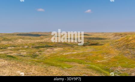 Die Prairie-Landschaft führt in geformte Badlands im Grasslands National Park, wo exponierte geologische Schichten einen auffälligen Kontrast bilden. Stockfoto