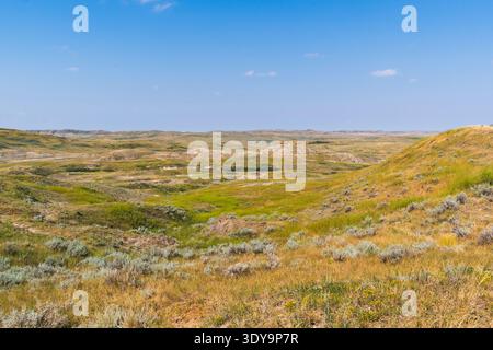Unterschiedliche geologische Schichten Formen Badlands, wenn sie aus der umliegenden Prärie im Grasslands National Park, Saskatchewan, hervorgehen. Stockfoto