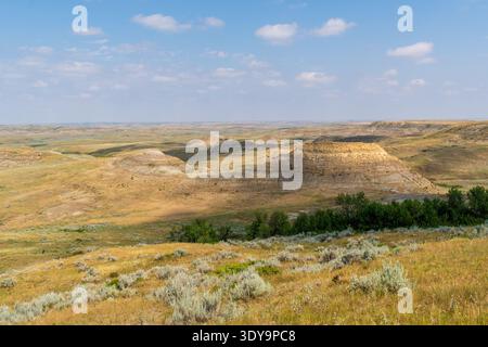 Badlands erstrecken sich über den Horizont, mit geschichteten Sedimenten und zerklüfteten Konturen, die durch den hellen Präriehimmel im Grasslands National Park hervorgehoben werden. Stockfoto