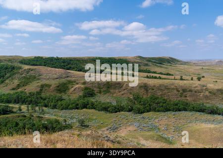 Das Grün füllt die Falten der geschwungenen Hügel im Grassland National Park's East Block Badlands und verleiht der Landschaft Leben und Farbe. Stockfoto