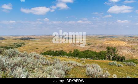 Lebhafte Sedimentschichten zeichnen sich durch die erodierte Landschaft des East Block of Grasslands National Park aus, wo sich die Steilküche zum Horizont hin erstrecken. Stockfoto