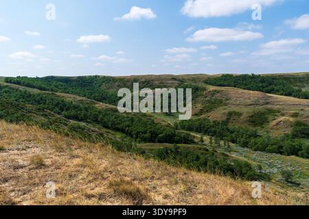 Die erodierten Hügel des Grassland National Park's Badlands werden durch Sommergrün gemildert. Stockfoto