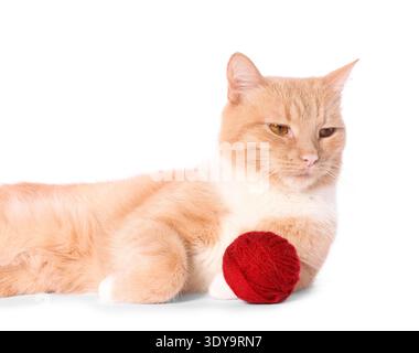 Süße Ingwerkatze mit Kugel aus rotem Garn auf weißem Hintergrund Stockfoto