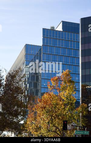 Moderner Glasturm in San Jose Kalifornien, der sich über Herbstbäumen erhebt Stockfoto