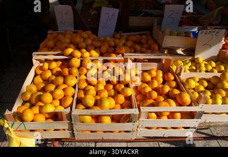 Frische Zitrusfrüchte werden in Holzkisten auf einem traditionellen Bauernmarkt im Freien präsentiert. Helle Orangen und Mandarinen werden zum Verkauf angeboten. Stockfoto