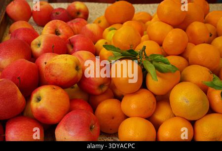 Frische Äpfel und Orangen werden an einem farbenfrohen lokalen Marktstand ausgestellt. Reife rote Äpfel und helle Zitrusfrüchte sind zusammen angeordnet, Marktkonzept Stockfoto