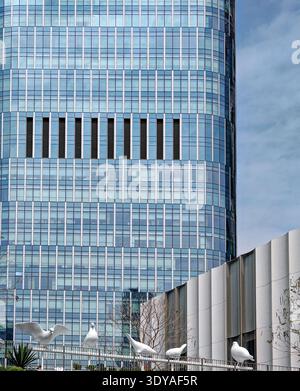 Hochauflösende Nahaufnahme eines modernen, zylindrischen Wolkenkratzers in China, die seine Vertikalität und sein elegantes, modernes Design unterstreicht. Stockfoto