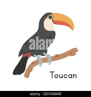 Toco Tukan auf Baumzweig Vektor Illustration, Zeichentrick Clipart Charakter, Tier in flacher Art. Wilde Tiere, Vogel, Vögel Konzept Stock Vektor