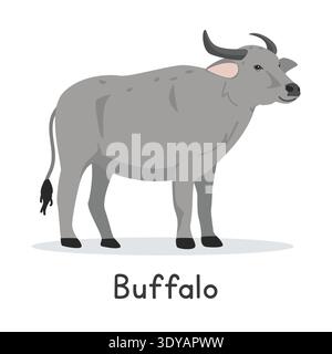Wasserbüffel-Vektor-Illustration. Niedliches Büffel-Karikatur-Clipart, Tier im flachen Stil. Nutztierkonzept, ländliche Landwirtschaft Stock Vektor