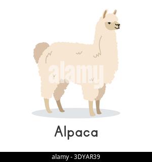 Alpakavektor-Illustration. Niedliches Alpaka-Zeichentrick-Clipart, Tier im flachen Stil. Nutztierkonzept, ländliche Landwirtschaft. Viehtier-Alpakavektor Stock Vektor