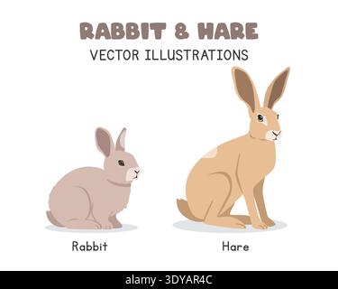 Vektorillustrationen zum Vergleich von Kaninchen und Hasen. Cute Hase vs Hase Cartoon Clipart Set in flachem Stil. Haustier- und Nutztier-Konzept Stock Vektor