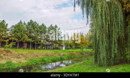 Ruhige Landschaft mit einer großen Trauerweide an den Ufern eines kleinen Baches in einem grünen Maedow in Polen Stockfoto