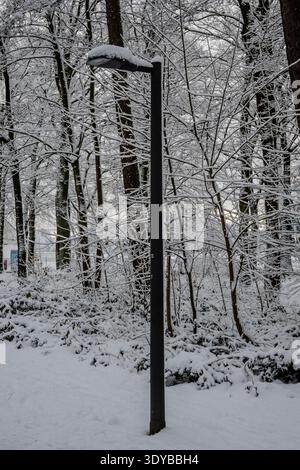 Eine ruhige Winterlandschaft mit einem Wald mit schneebedeckten Ästen und einer Holzkonstruktion. Stockfoto