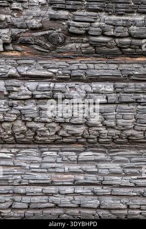 Verkohlte Holzstruktur schafft einen dunklen abstrakten Hintergrund mit karbonisierter Oberfläche Stockfoto