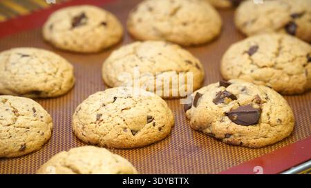 Frisch gebackene Schokoladen-Chip-Cookies auf dem Tablett Stockfoto