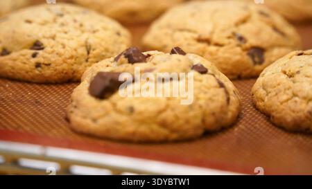 Frisch gebackene Schokoladen-Chip-Cookies auf dem Tablett Stockfoto