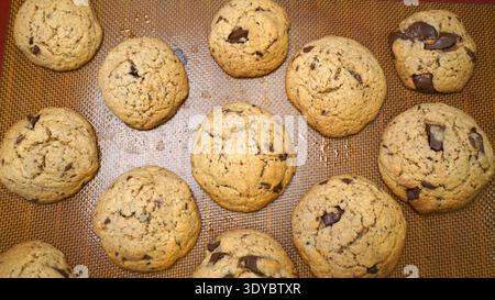 Frisch gebackene Schokoladen-Chip-Cookies auf dem Tablett Stockfoto