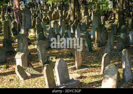 Der alte jüdische Friedhof, der im 16. Jahrhundert gegründet wurde, ist eine der wichtigsten jüdischen Nekropolen im Land. Tarnów, Polen. Stockfoto