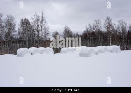 Schneebedeckte Heuballen auf dem Feld nach einem Schneefall, schneebedeckter Winter auf dem Land Stockfoto